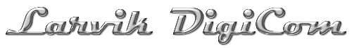 www.larvikdigicom.com